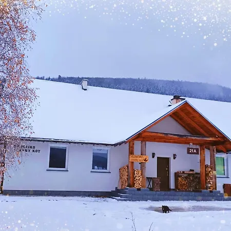 Siedlisko Czarny Kot 公寓