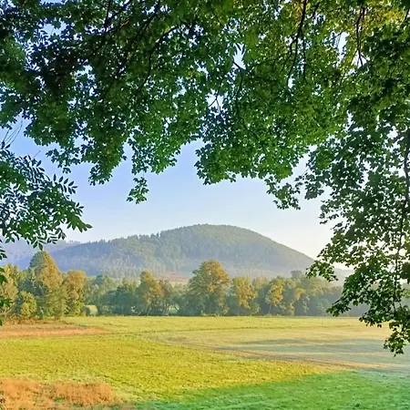 Siedlisko Czarny Kot Appartement *