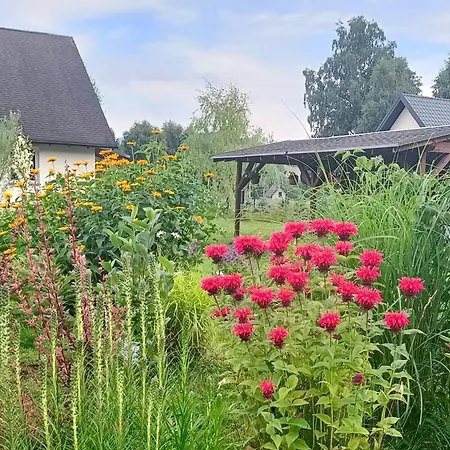 Siedlisko Czarny Kot