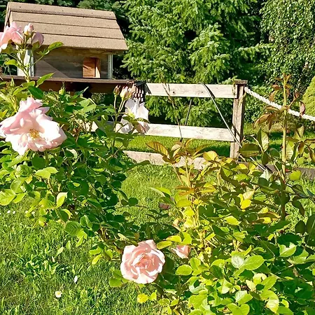Appartement Siedlisko Czarny Kot Lądek-Zdrój