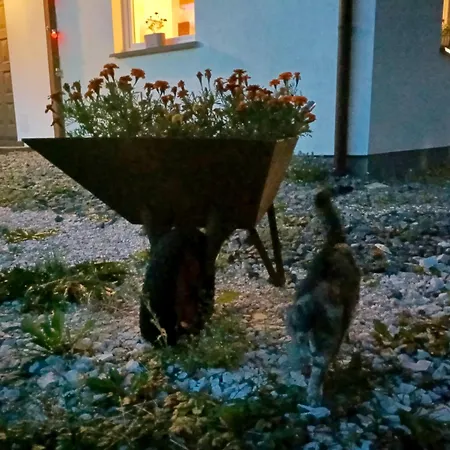 Siedlisko Czarny Kot *