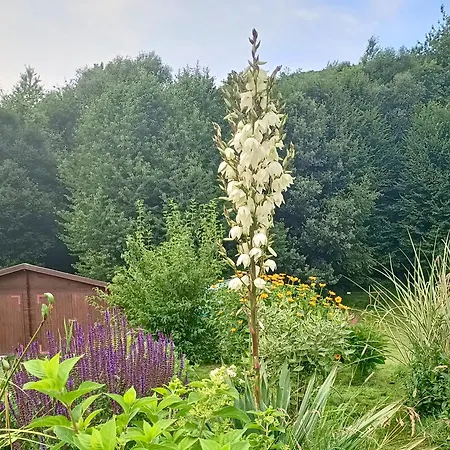 Appartement Siedlisko Czarny Kot *