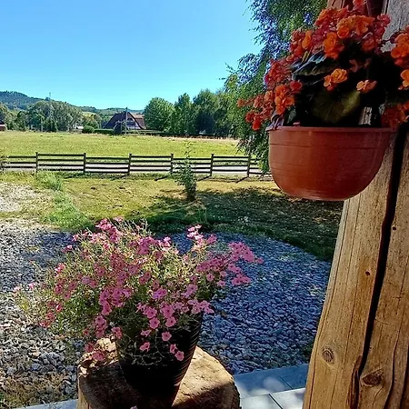 Siedlisko Czarny Kot Appartement *