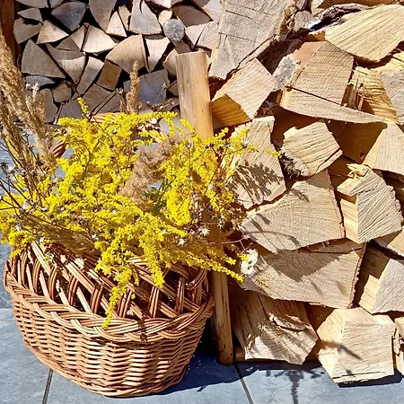 Appartement Siedlisko Czarny Kot *