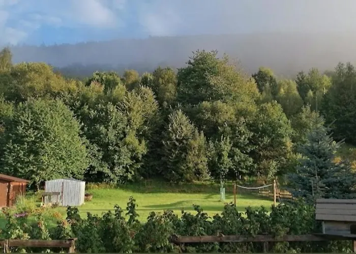 Siedlisko Czarny Kot *