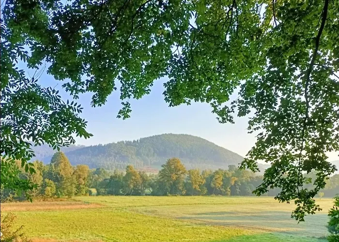 Siedlisko Czarny Kot 公寓 *