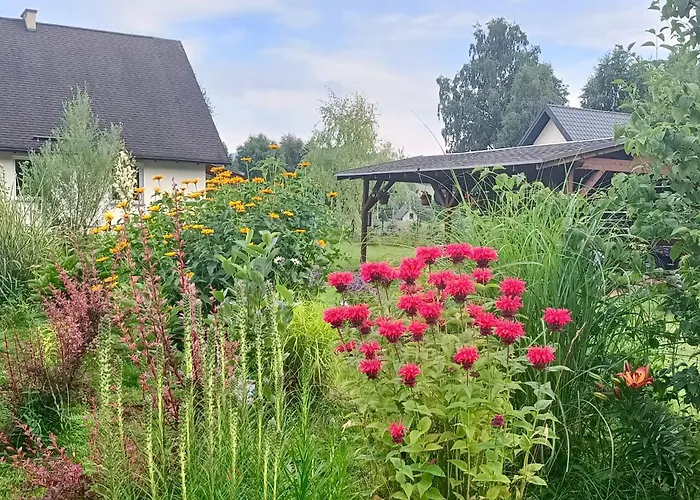 Siedlisko Czarny Kot