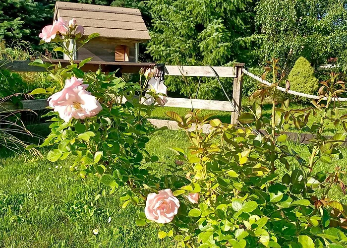 Apartmán Siedlisko Czarny Kot Lądek-Zdrój