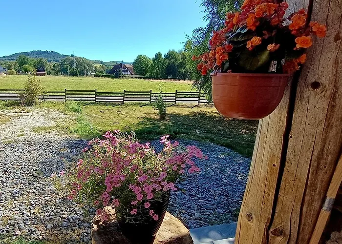 Siedlisko Czarny Kot Apartmán *