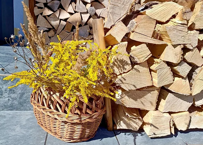 公寓 Siedlisko Czarny Kot *