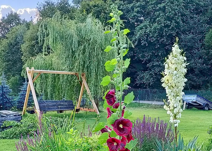 Siedlisko Czarny Kot *