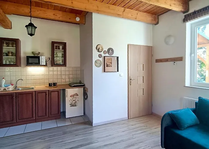 Siedlisko Czarny Kot * Lądek-Zdrój