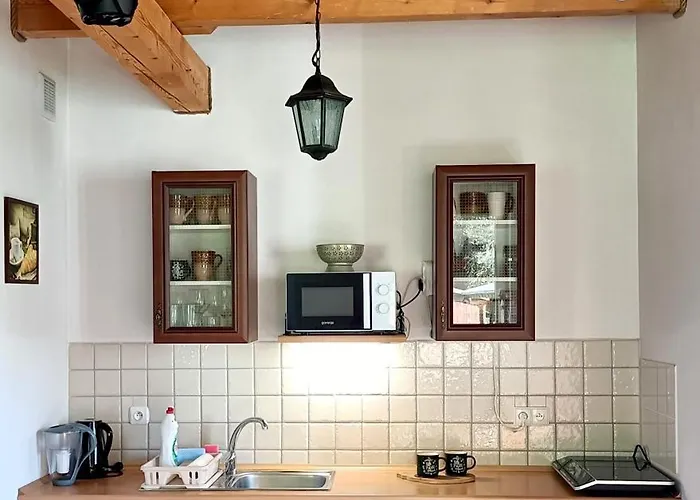 Siedlisko Czarny Kot 公寓